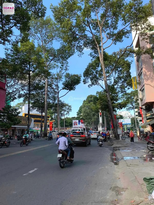 Đường Lê Hồng Phong tại TP. Hồ Chí Minh đóng vai trò quan trọng trong việc kết nối giao thông