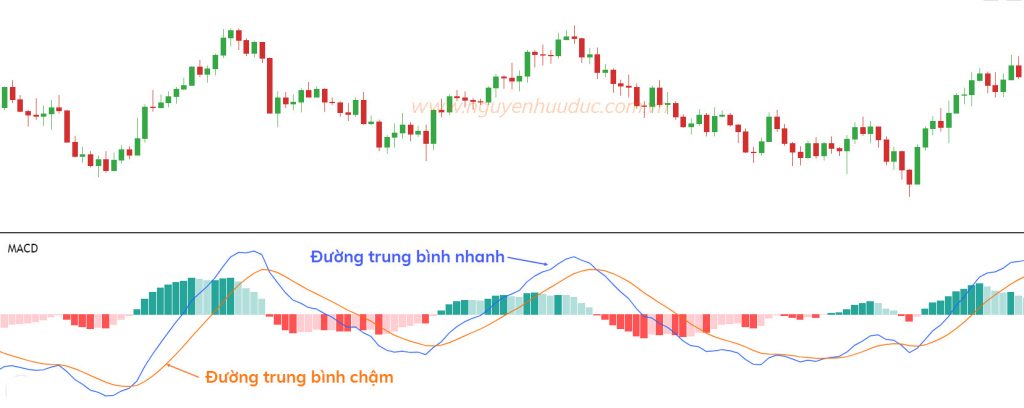 Kết Hợp Các Công Cụ và Chỉ Báo Để Tối Ưu Hóa Chiến Lược Giao Dịch