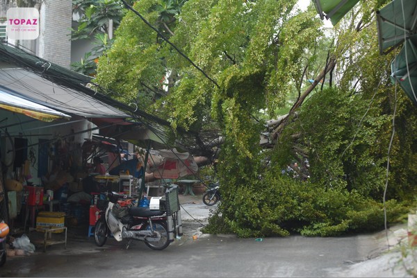 Hướng dẫn đường đi chi tiết  di chuyển đường Đặng Thùy Trâm