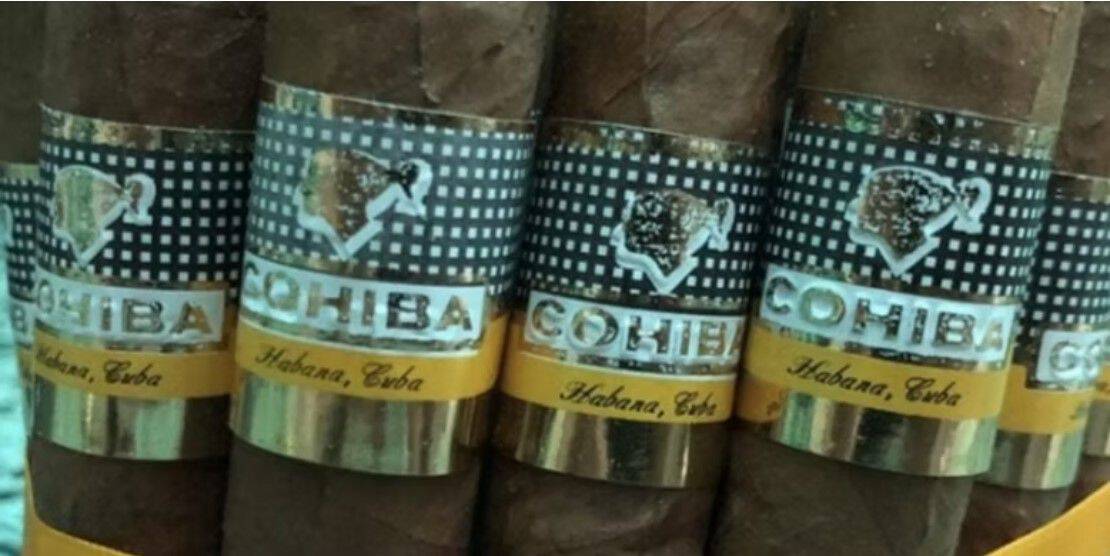 logo xi ga fake dap chim va mo