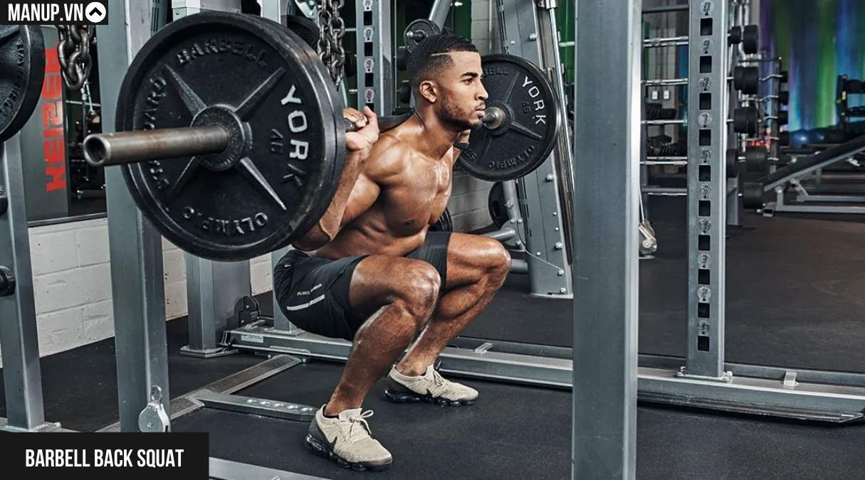 lịch tập gym cho người mới